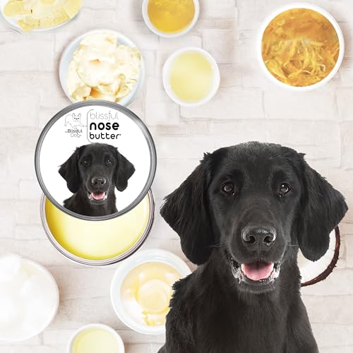 Image of The Blissful Dog Flat Coat Retriever Unscented Nose Butter, 16oz