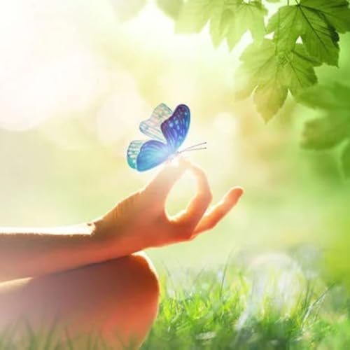 EP.1 - LA VISIONE OLISTICA DELLA VITA E IL BATTITO D'ALI DI UNA FARFALLA - HUMANA GENESIS POADCAST copertina