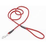 ペティオ (Petio) ネオンリード レッド 超小型犬用 7mm