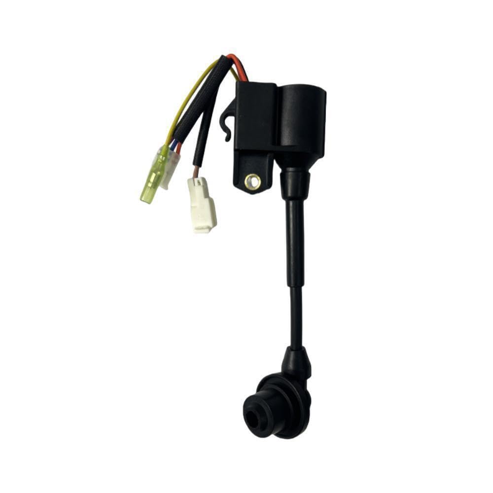 Amazon.com: POWER PRODUCTS Ignition Coil Module 30700