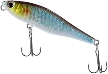 Amazon.co.jp: ダイワ(DAIWA) バスルアー STEEZペンシル86F スペシャル