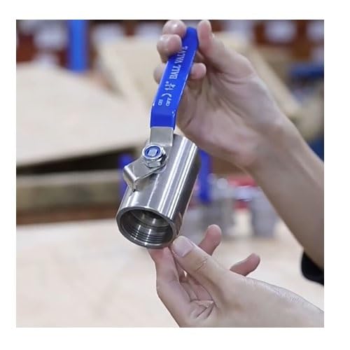 Robinet à filetage femelle en acier inoxydable 304 durable DN8 à DN32