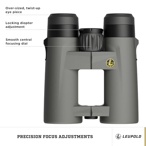 Leupold BX-4 Pro Guide HD Binoculars, 10x42mm Gen 2 (184761)