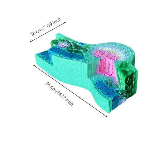 Fxzqgnh Botanical Display Leaf Model Leaf Section Science Model with Raised Surface Patterns and Accurate Structural Features Suitable for Curriculum Support Student Projects Interactive Exhibits - Image 2