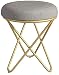 Aufbewahrungshocker Footstools & Ottomans Kleiner Hocker Schminkhocker Schlafzimmerhocker Stuhl Kleine Füße Schuhbank zum Wechseln (Color : Black) Gepolsterter Hocker (Color : Gold