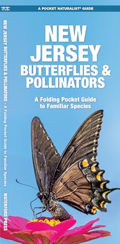 New Jersey Butterflies & Pollinators (Nature Observation North America)