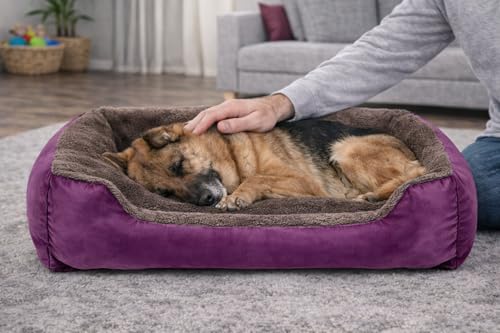 Image of SITSNOOZE Dog Beds Dogs & Cats, Rectangle Washable Pet Bed Comfortable and Breathable Pet Sofa Warming Orthopedic and Non-Skid Bottom (Reversible) (Brown & Purple, M)