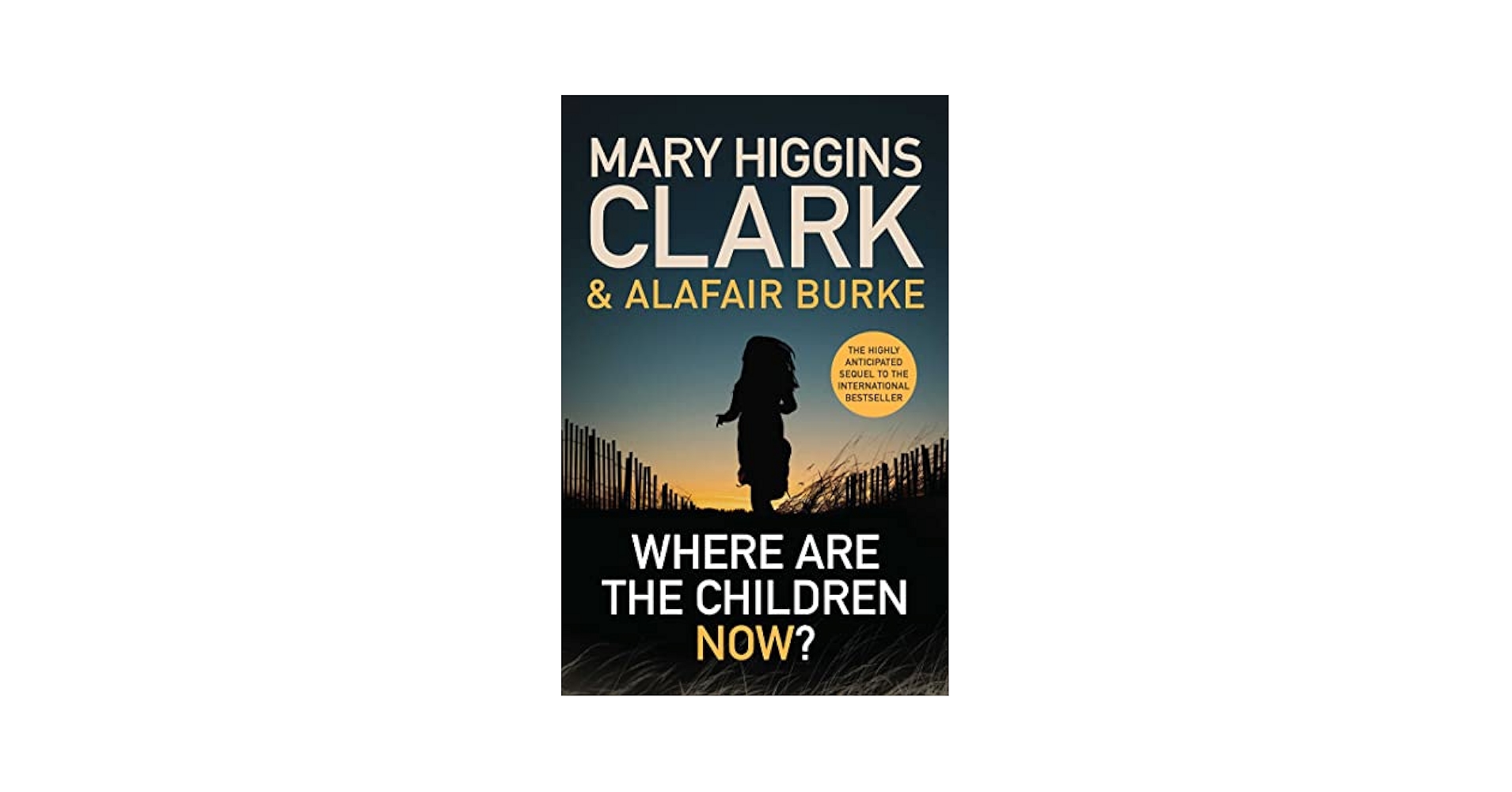 (未使用･未開封品)Mary Higgins Clark: Ni Vue Ni Con [DVD] その他 Mary Higgins Clark: Ni Vue Ni Con [DVD] The Mary