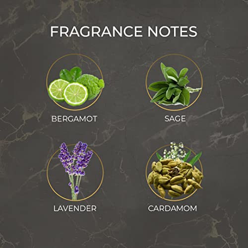 Image of Layer'r Shot Knight Rider Body Spray For Men - 130ml | Long Lasting Premium Fragrance With Skin-Friendly Scent | Aerosol Perfume | Suitable For All Occasion | For Men