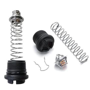 pool heater thermal regulator