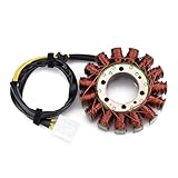 Bobina de estator generador para Kaw&asaki ZX1400 ZZR1400 ZX ZZR 1400 ABS 2006-2017 Ni&nja ZX14 ZX 14 ZX-14 ZX-14R 21003-0055 21003-0144 Material: hierro, cobre, plástico
