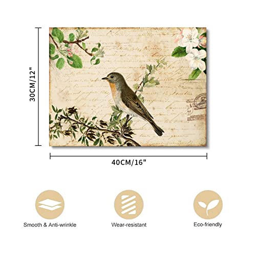 Impression sur toile encadrée oiseaux style rétro français - 2