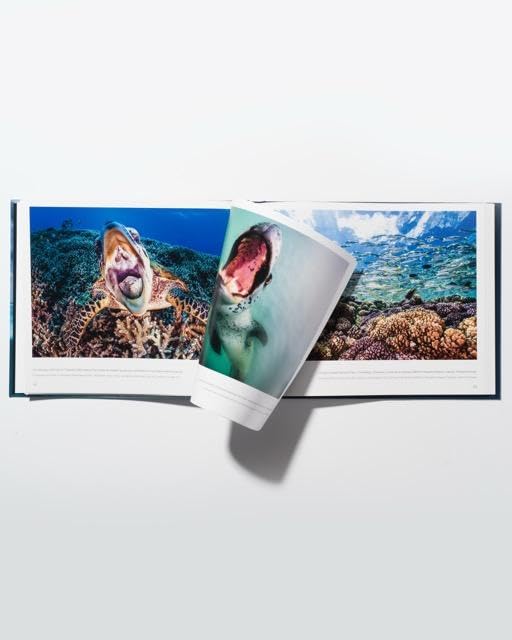 David Doubilet. Oceani. Ediz. italiana e inglese