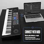 RockJam 61 Piano clavier avec kit d'affichage tactile, support de clavier, banc de piano, pédale de maintien, casque, simple application de piano & Stickers Keynote