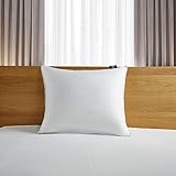 Serta 300 Thread Count White Down Fiber Bed Back Sleeper Pillow, Jumbo