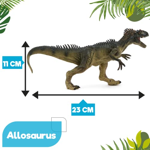 Zappi Co Childrens Allosaurus Dinosaur Figure Toy (23cm Length) Realistic Detailed Dino Collection for Kids - Image 3