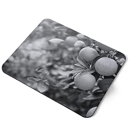 Computer Mouse Mat Pad - BW - Orange Tree Healthy Fruit Food Home Office PC Desk Accessory Flexible Fabric Top Large 5mm Laptop Desktop Printed Art Ergonomic #39336