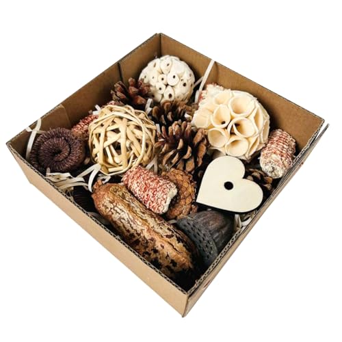 Aihmilcl African Grey Parrot Toys for Large Bird Toys Natural Bird Foraging Box for Parakeets,Cockatiels,Conures,Love Birds