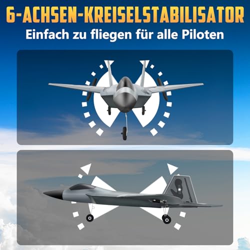 HAWK'S WORK 2 Kanal Ferngesteuertes Flugzeug F-22, Bereit zum Fliegen, 2,4 GHz RC Flugzeug Leicht zu Fliegen für Kinder & Anfänger