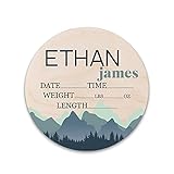 Birth Stat Sign, Hospital sign, Gender Reveal Baby Photo Props, Baby Announcement Sign, Wooden Name...