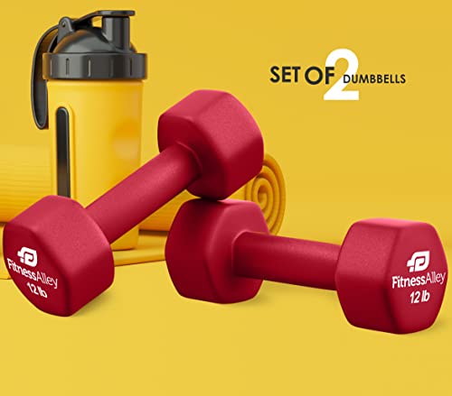 Fitness Alley Neoprene Coated 12Lb Workout Dumbbells Set Of 2 – Anti Roll, Non Slip With Smooth Grip Fitness & Exercise Dumbbells – Hexagon Shaped Hand Weights For Women & Men – Best Choice For Gyms & Home Use #TOP4