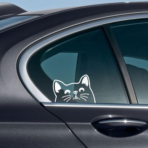 Image of WIRESTER 6 inch Clear Vinyl Decal Sticker Decoration for Car Window (Or Any Flat Surface) - Black Bombay Kitten Cat