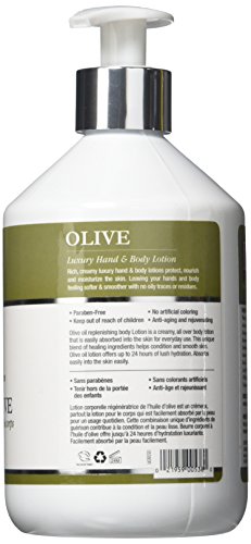 Daggett And Ramsdell Hand And Body Lotion, Olive, 16.9 Fluid Ounce #TOP1