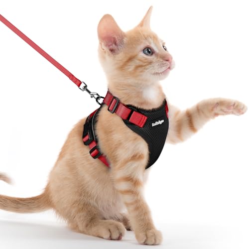 Image of rabbitgoo Cat Harness and Leash Set, Escape Proof Vest, Black & Red