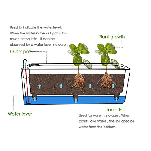 UKAN Self Watering Planter, Window Gardening Box, Plastic Flower Pots with Automatic Irrigation System Modern Decorative Gardening Pots for Indoor Plants, Herbs, Flowers, Rectangle, 16”X5.5”, White