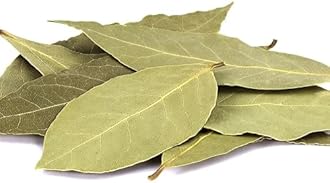 Organic Live Tejpatta Spice Plant/Indian Bay Leaf/Tamalpatra - Fresh Aromatic Leaves for Cooking & Herbal Remedies (1 Healthy Plant Sapling in Poly Bag).