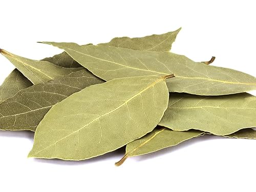 Organic Live Tejpatta Spice Plant/Indian Bay Leaf/Tamalpatra - Fresh Aromatic Leaves for Cooking & Herbal Remedies (1 Healthy Plant Sapling in Poly Bag).