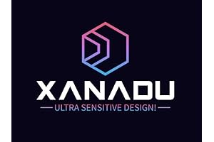 Xanadu: Your Discreet Safeguard for Limitless Pleasure (100 Pack)