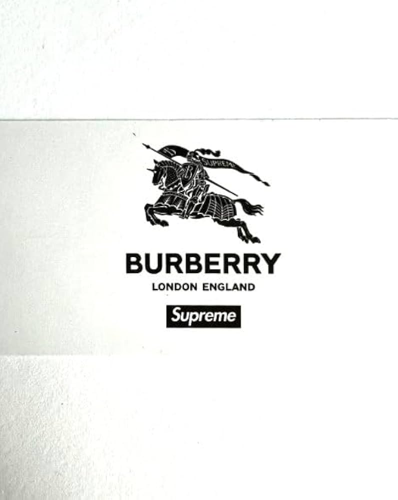 Amazon.co.jp: SUPREME(シュプリーム) BOXLOGO バー バリー