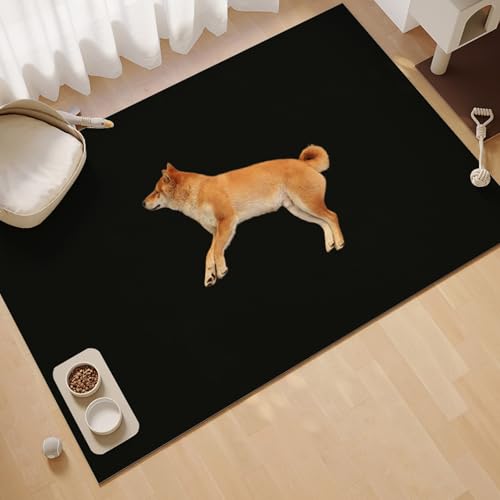 Diycreator ybg}bg  L tA}bg h ~  Ȃ tAV[gNbV 80 100 120 160cm veNV xbh HGA ^ q  ׂ~߉H Rْf g[Ή ϋv h