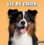 Bouchut
