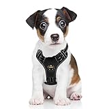 【Arnés Ajustable para Perros Pequeños】Circunferencia del cuello: 33-48cm (13"-19"), circunferencia del pecho: 50-68cm (20"-27"). Razas recomendadas: Perros pequeños como Chihuahua, Bichón Habanero, Corgi, Pug, Puggle, Terrier, etc. Mida el tamaño con cuidado antes de comprar este regalo para su cachorro. ¡Haz que tu cachorro se destaque con estos hermosos arneses!