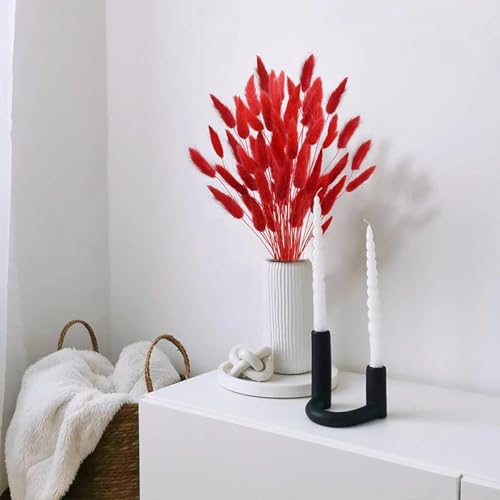 Pampas Grass Decor Tall 150Pcs Flores Secas Rojas miniatura 5