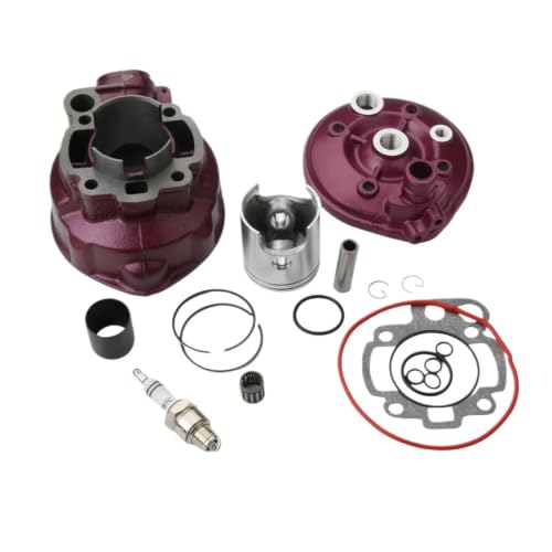 Montaggio; Kit cilindro big bore da 49 mm 90 cc e testa compatibile con motori NK7, XP6, XP7, XPS, XR6 e XR7 50 cc 2T che utilizzano la piattaforma motore AM6
