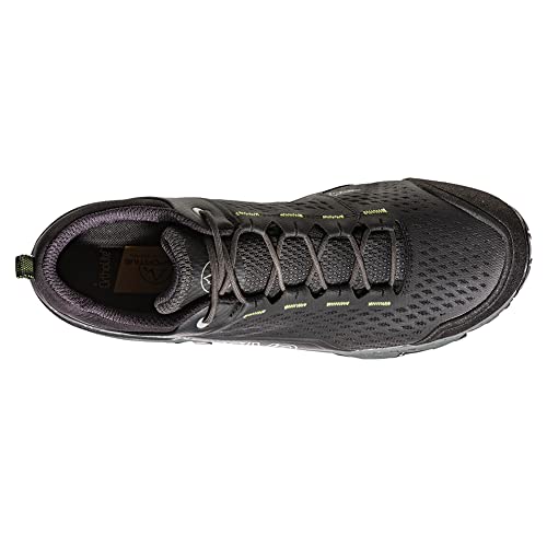 La-Sportiva-Mens-Spire-GTX-Hiking-Shoes 412yXLWqNnL