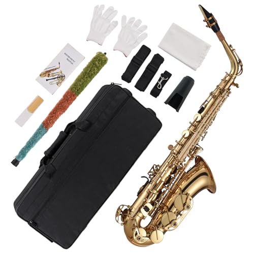 ゴールド サックス本体 ケース付き Amazon.co.jp: アルトサックス 初心者入門セット Saxophone