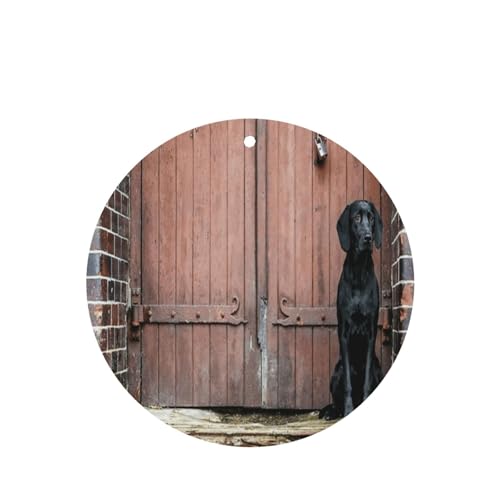 2pbN݂艺ԗpF܃J[h ? ݂艺A}Zs[J[h (x_[̍) ԁA̐QA[h[uACȂǂɍœK jZbNX(n[hybguh[)