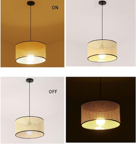 Abat-jour cage lampe shade pendante faite à main design CFWSHJ - 7