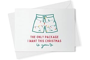 The Only Package I Want For Christmas Is Yours: A Merry Little Christmas Pun