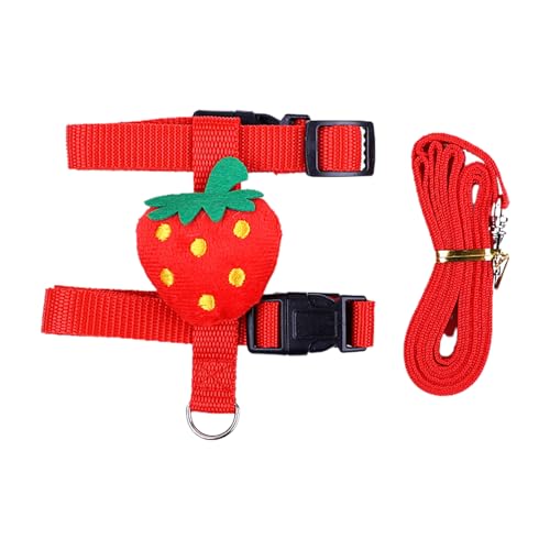 Ranley Simpatico guinzaglio per cani – Set di guinzagli per animali domestici con simpatico gilet cartoni animati, guinzaglio per cuccioli di gatto, accessorio per abbigliamento per cani da esterno