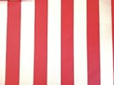 Waterproof Outdoor Canvas Stripes 60 Inch Wide Fabric By The Yard From The Fabric Exchange (Red/White)