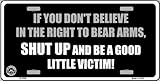 If You Don't Believe in the Right to Bear Arms Novelty Vanity License Plate Tag Sign
