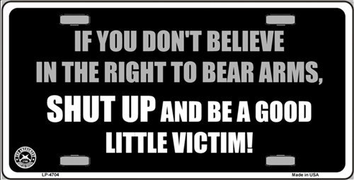 If You Don't Believe in the Right to Bear Arms Novelty Vanity License Plate Tag Sign