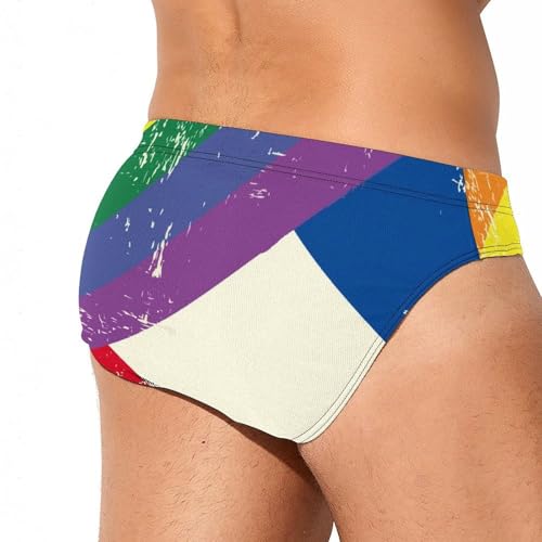 Vintage Rainbow Swedish Flag Printed Swim Briefs for Men Sexy Bikini Swimwear Elastic Beach Trunks Bathing Suit4