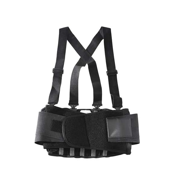 Back Support W/Suspenders,Contoured,M