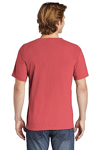 Image of Comfort Colors Adult Short Sleeve Tee, Style G1717